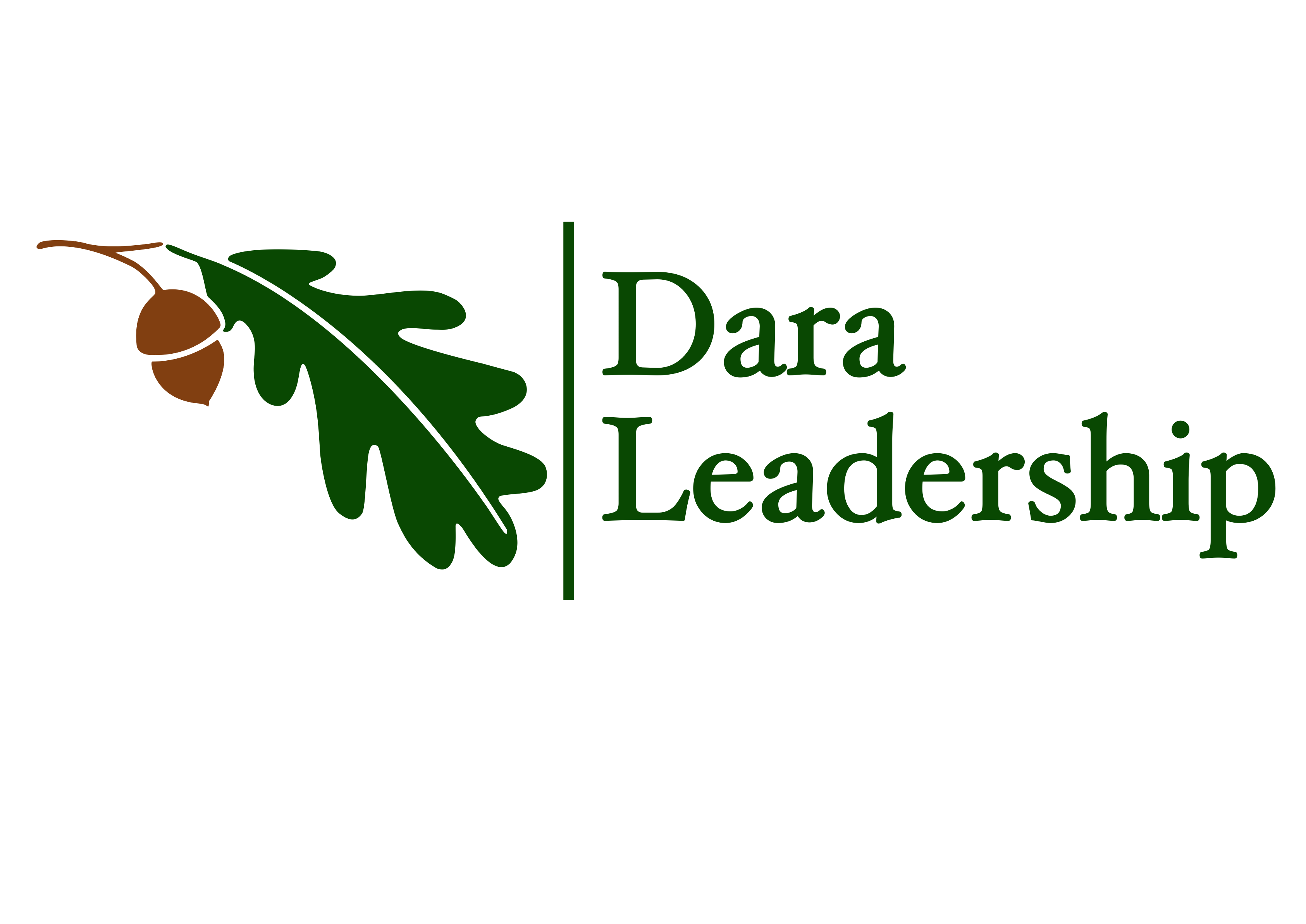 Dara Leadership ledarutveckling och effektiva organisationer